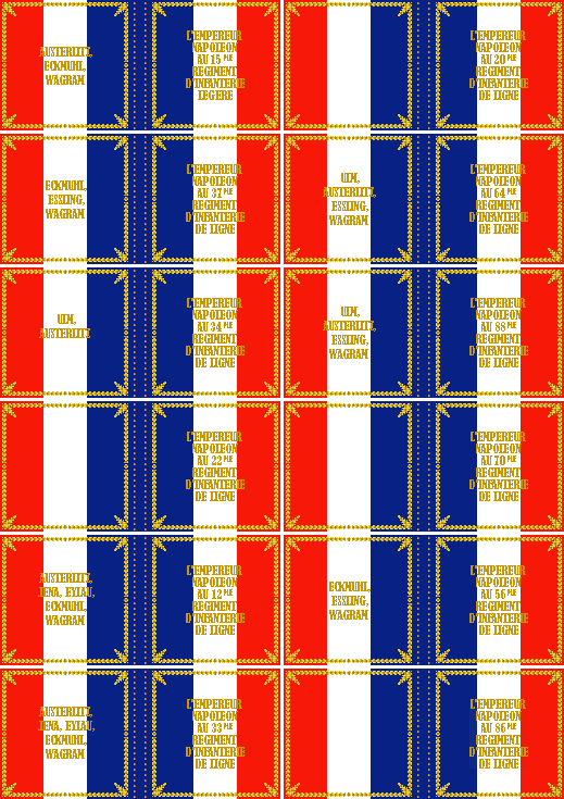 French Infantry Flags 1815-3